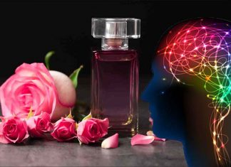 The scent of roses increase memory and learning skills