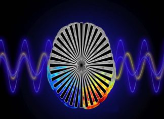 Brain waves show your bias before you make a choice