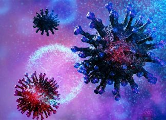 COVID-19 – B / T cell epitopes : Researchers identify potential targets for immune response