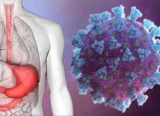 Almost 50 percent of COVID-19 patients has common digestive symptoms such as diarrhea and anorexia