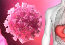 Quasi il 50 percento dei pazienti con COVID-19 ha sintomi digestivi comuni come diarrea e anoressia