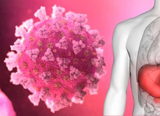 Quasi il 50 percento dei pazienti con COVID-19 ha sintomi digestivi comuni come diarrea e anoressia
