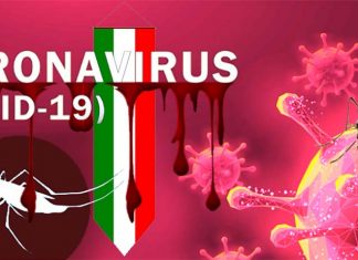 REPORT – COVID-19: è possibile la trasmissione per puntura di insetto ?