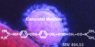The drug Camostat mesilate may protect against COVID 19