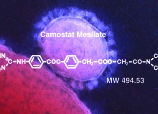 The drug Camostat mesilate may protect against COVID 19