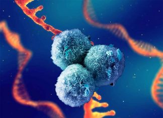 Cancer cells are asexual – during replication the DNA is in chaos – sections of chromosomes exchanged – duplicated or missing all together