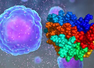 Erythropoietin enhance physical performance – stimulate precursor cells to form new nerve cells and connect to one another more effectively