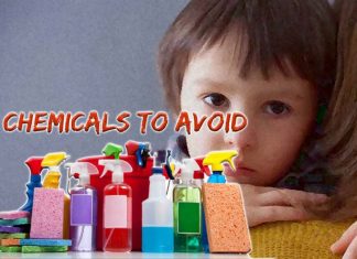 Exposure to household toxic substances is associated with delays in cognitive development in young children