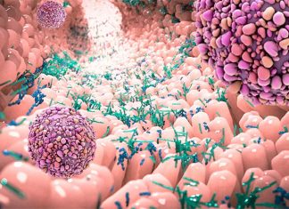 Microbiome : disrupted bacterial colonization triggers tumor formation