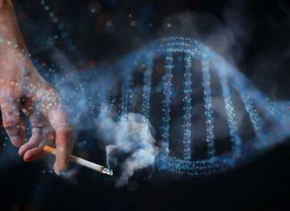 The Slit3 gene is related to the preference of nicotine in people
