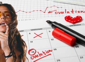 Women tend to perceive men as slightly more attractive when they are fertile