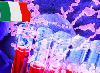 Gli anticorpi del plasma di coloro che si sono ripresi da COVID-19 possono legarsi e neutralizzare la SARS-CoV-2