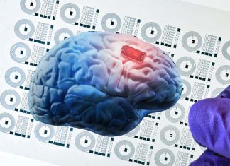 MIT researchers successfully implanted soft flexible 3D printed neural implant in the brain