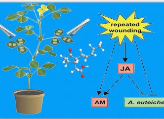 Plants have hormones to sense problems and report them to the rest of the plant