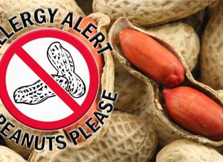 People with peanut allergies have an abundance of allergy-causing immunoglobulin E antibodies (IgE) in their guts
