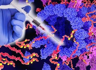 A blood test can measured phosphorylated pTau181 protein linked with Alzheimer’s
