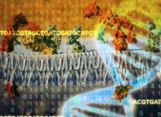 A new technology allow print two-dimensional arrays of cells and proteins can mimic a variety of cellular environments in the body
