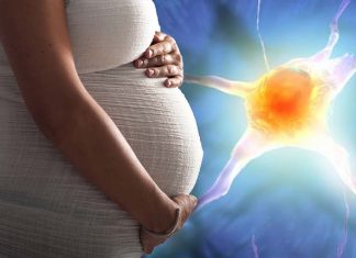 Over 30 prenatal and postnatal environmental risk factors have been identified for the development of psychosis in offspring