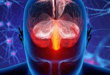 The Role of Lipid Variability in Alzheimer’s Disease and Alzheimer’s Disease-Related Dementias