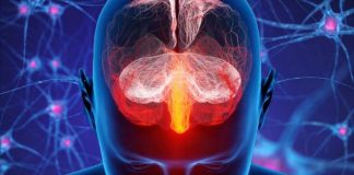 The Role of Lipid Variability in Alzheimer’s Disease and Alzheimer’s Disease-Related Dementias