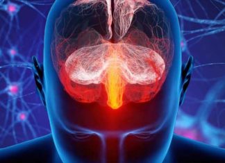 The Role of Lipid Variability in Alzheimer’s Disease and Alzheimer’s Disease-Related Dementias