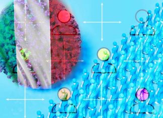 COVID-19: L’allontanamento sociale si oppone alla nostra reazione naturale ai rischi incombenti – i contatti sociali non sono un extra