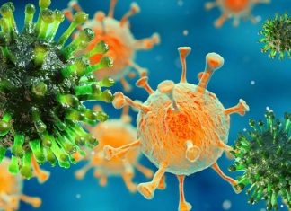 COVID-19 has evolved new strategies to bind to cell receptors – researchers identified the key mutations
