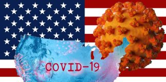 COVID-19 in US – due to the large volume of daily domestic air travel – interstate transmission is now the most urgent threat