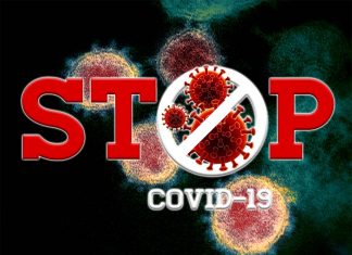 A drug used to treat feline coronavirus infection may hold the key for developing a treatment for human COVID-19