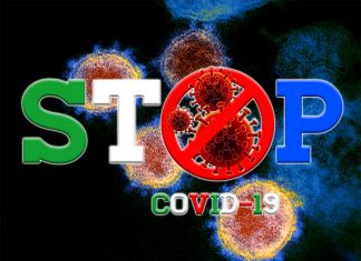 Un farmaco usato per trattare l’infezione da coronavirus felino può essere la chiave per lo sviluppo di un trattamento per COVID-19 umano