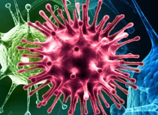 COVID-19 : SARS-CoV-2 virus may find itself in competition with other seasonal coronaviruses