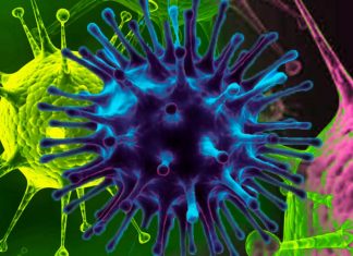 COVID-19: il virus SARS-CoV-2 può trovarsi in competizione con altri coronavirus stagionali