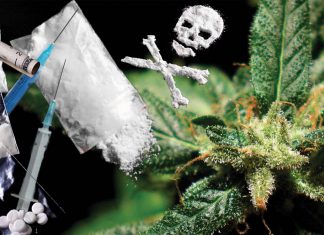 Cannabis use during youth enhances sensitivity to cocaine from the first exposure