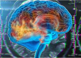 Dementia :combination of foods you eat increases your risk of developing the neurodegenerative disorder