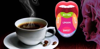 Drinking coffee makes your taste buds more sensitive to sweetness