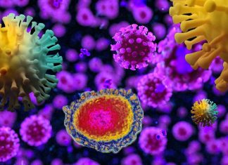 EIDD-2801 – un nuovo farmaco antivirale ha il potenziale per curare il coronavirus