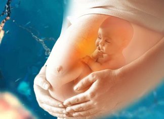 Human pregnancy is quite strange from an evolutionary perspective