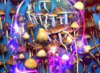 Psilocybin can treat depression and other mental health disorders