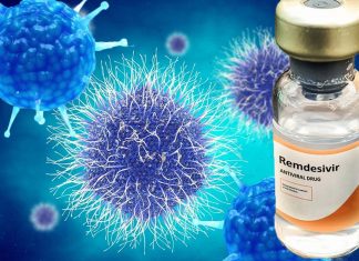 Remdesivir is highly effective at stopping the replication mechanism of COVID-19