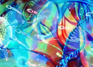 Sexual transmission : The researchers found no evidence of COVID-19 in the semen or testes of the men