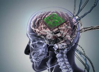 Next-generation of brain implants include more than a thousand electrodes and can survive for more than six years