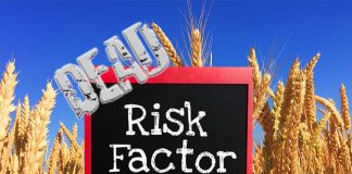 People with celiac disease have increased risk of dying prematurely