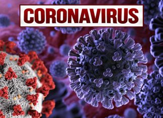 Researchers discovery that coronaviruses rely on the enzyme Topoisomerase III-ß (TOP3B) as a host factor