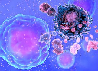 MIT researchers has developed specialized proteins that could halt the severe cytokine storms seen in COVID-19 patients