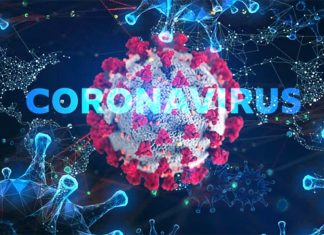 Researchers has tested more than 10000 compounds and identify six drug candidates to treat COVID-19