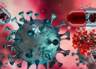 Researchers have identified 30 existing drugs that stop the replication of COVID-19