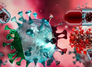 I ricercatori hanno identificato 30 farmaci esistenti che bloccano la replicazione di COVID-19