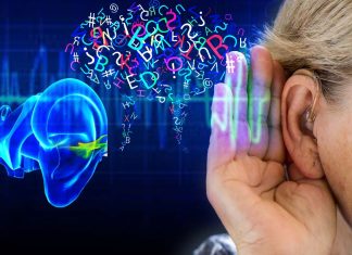 The stronger the hearing loss, the poorer hippocampal synaptic plasticity and memory ability become