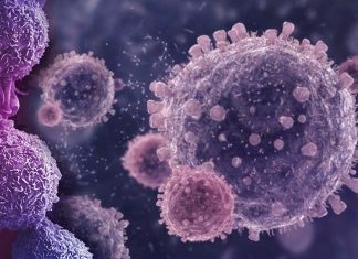 Researchers have observed functional metabolons involved in generating purines