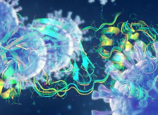 Newly discovered modifications of the coronavirus RNA offers clues for combatting COVID-19